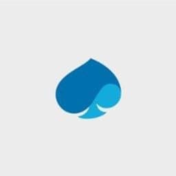 Capgemini company logo
