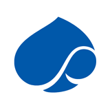 Capgemini company logo